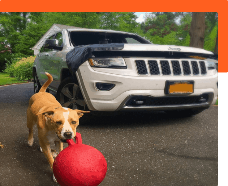 Precision Auto Glass Windshield & Auto Glass Repair