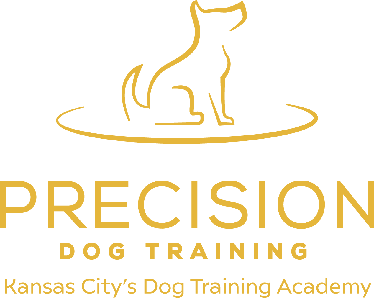 Who we are Precision Dog Training