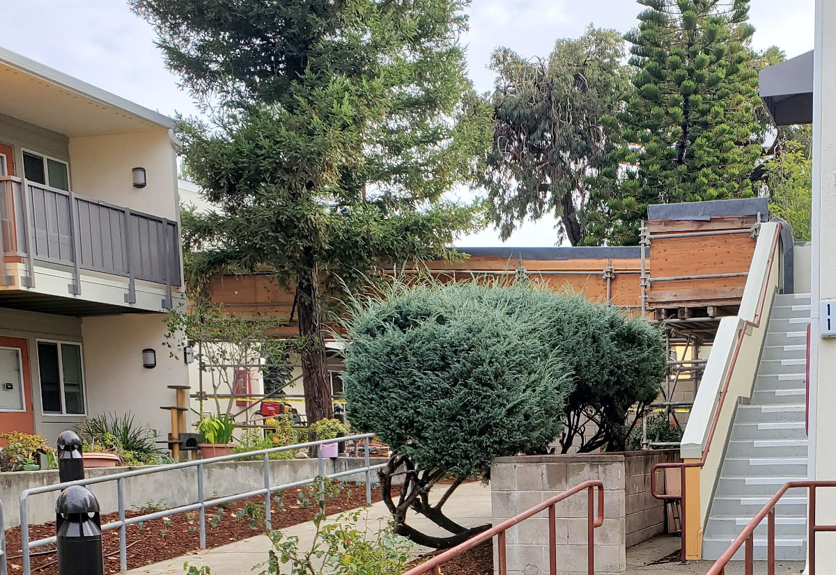 Judson Terrace Construction Renovation, Affordable Senior Housing