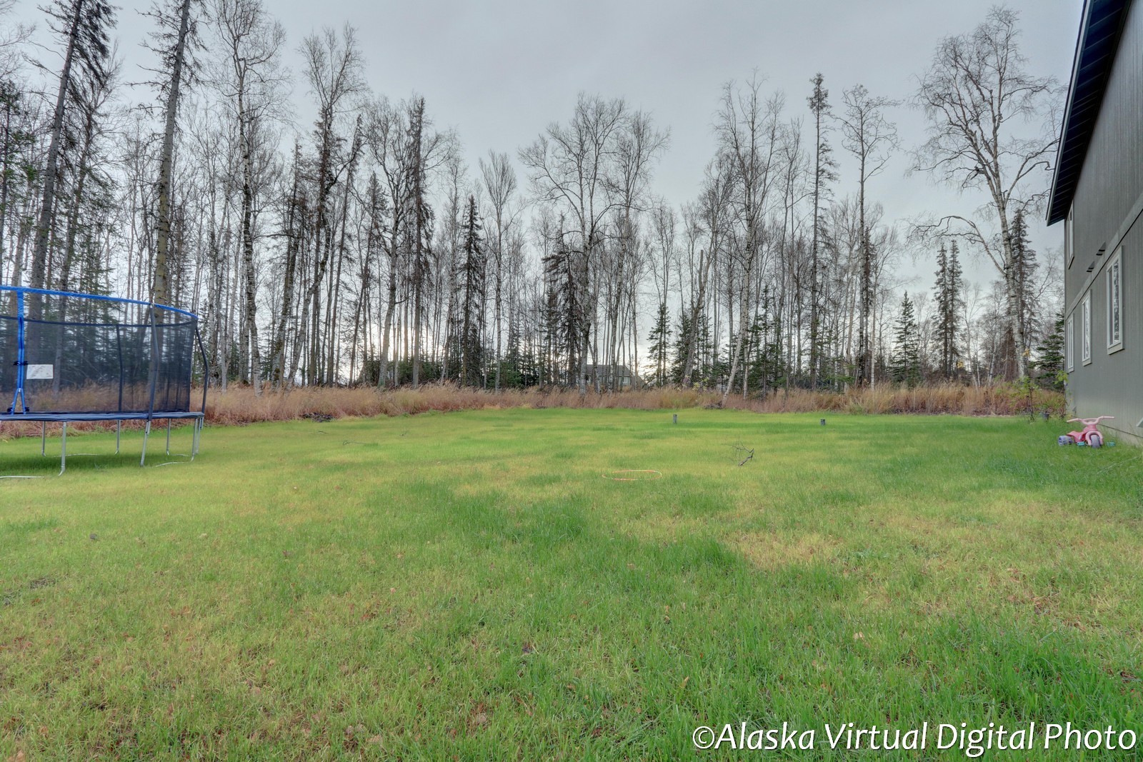 Hawk Ridge Precision Homes AK