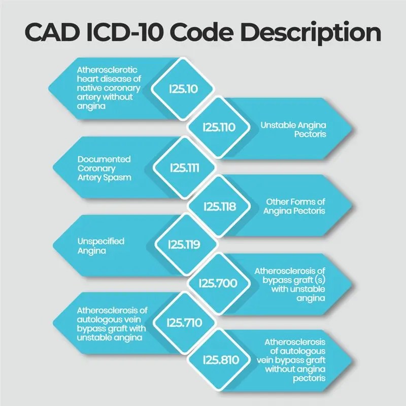 ICD 10 Code For Coronary Artery Disease Precision Hub