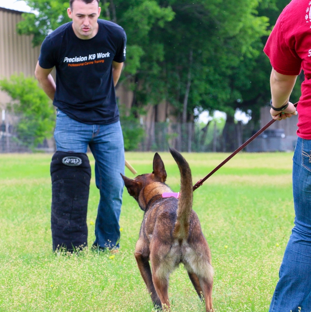 Protection Dog Training Austin Texas Personal Protection