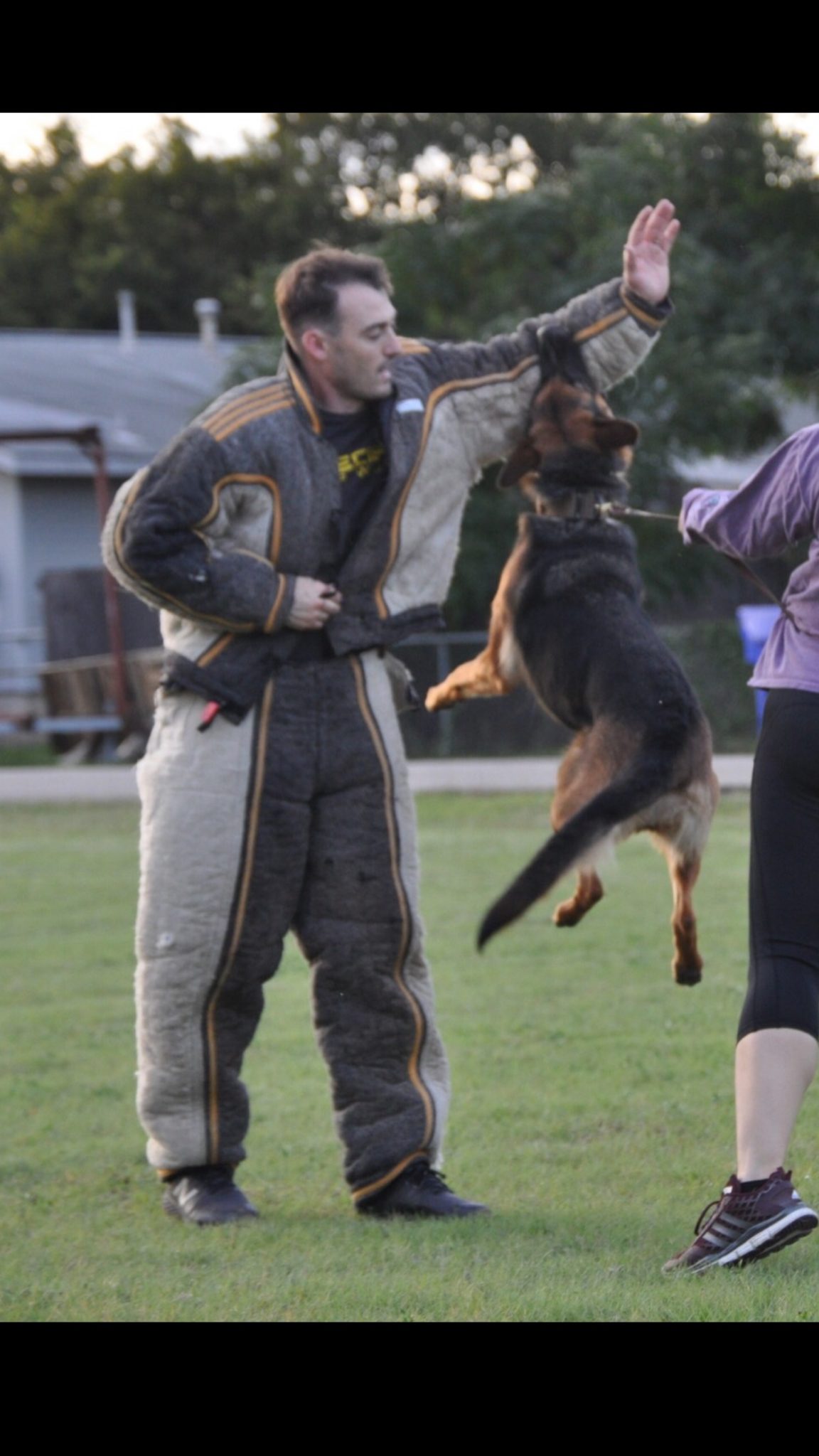 Protection Dog Training Austin Texas Personal Protection