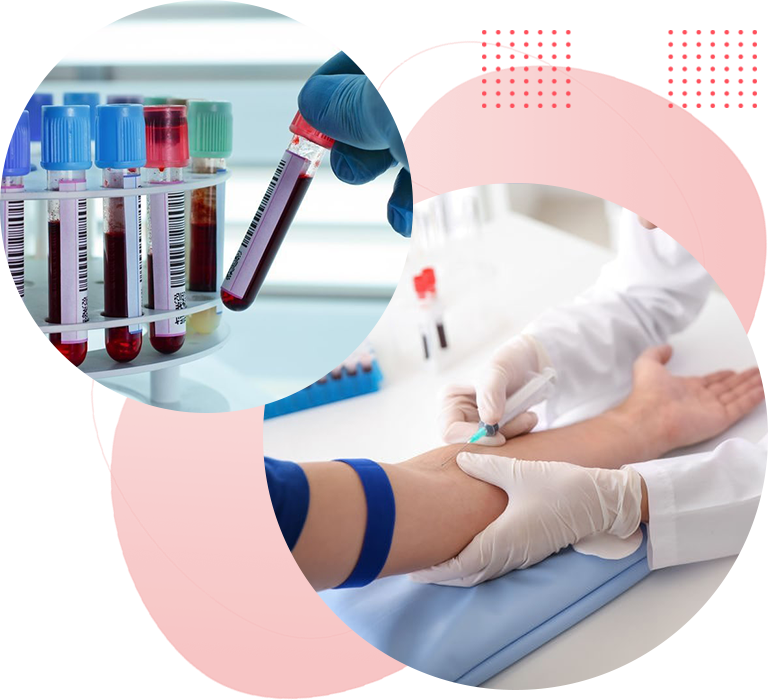 Book Full Body Checkup in Jaipur 799 Only