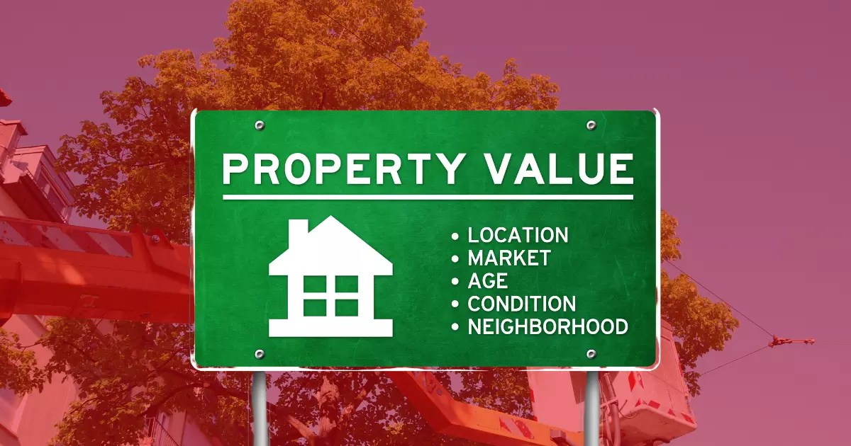 Tree Trimming for Healthy Trees & Beauty Precision Timber Felling