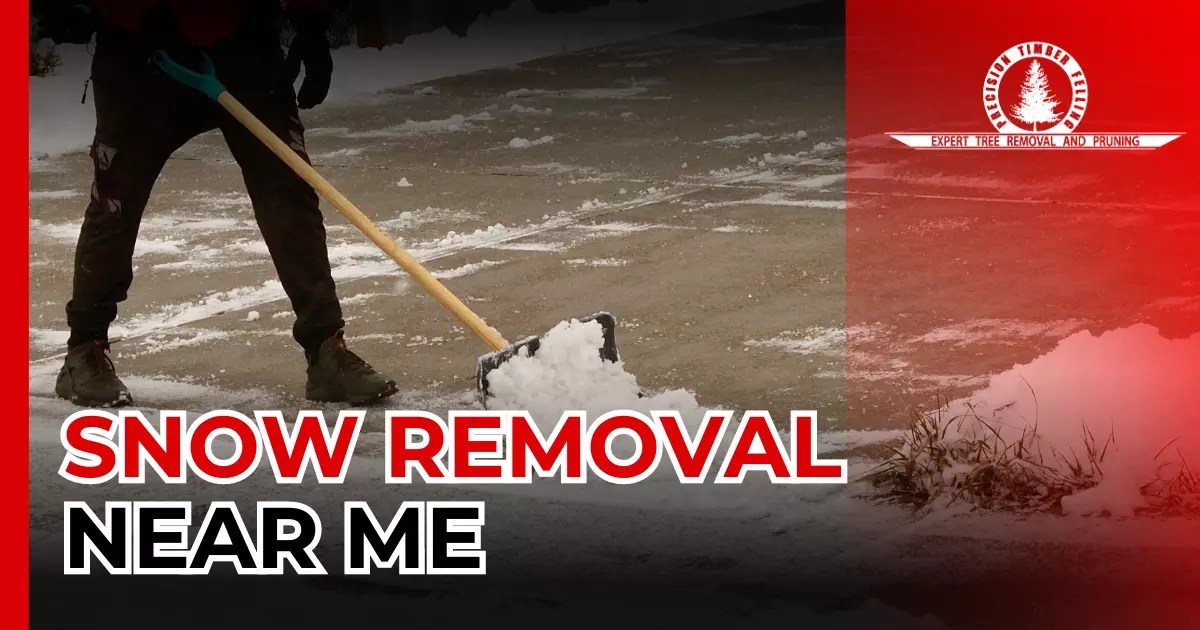 Loveland Snow Removal Near Me Fast and Affordable Services