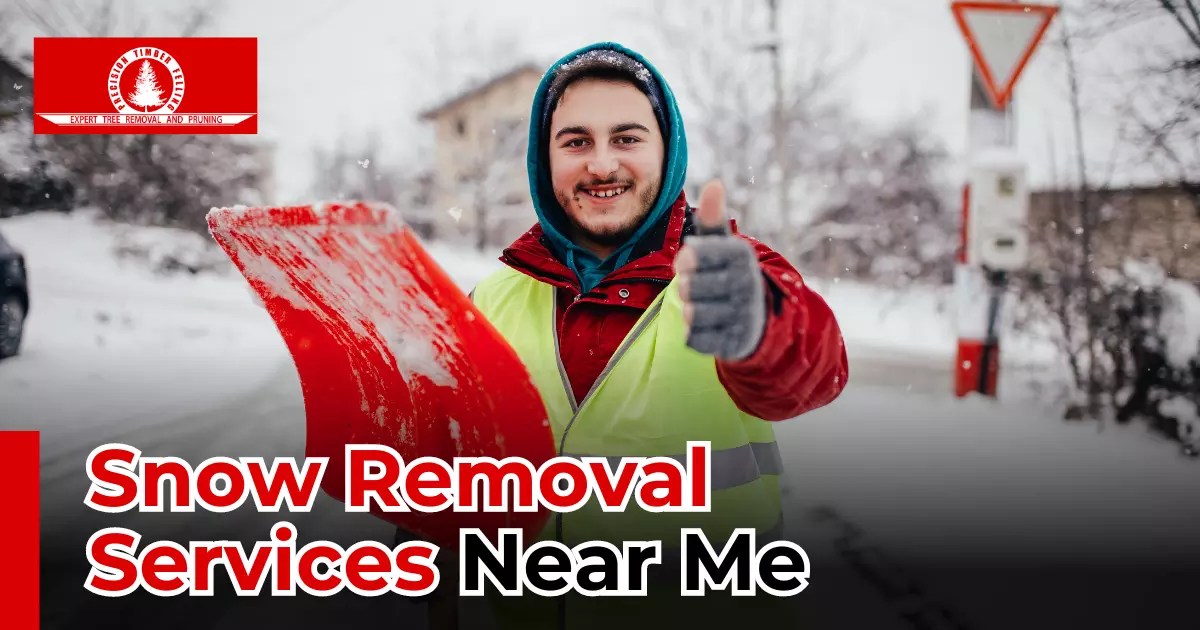 Loveland Snow Removal Near Me Fast and Affordable Services