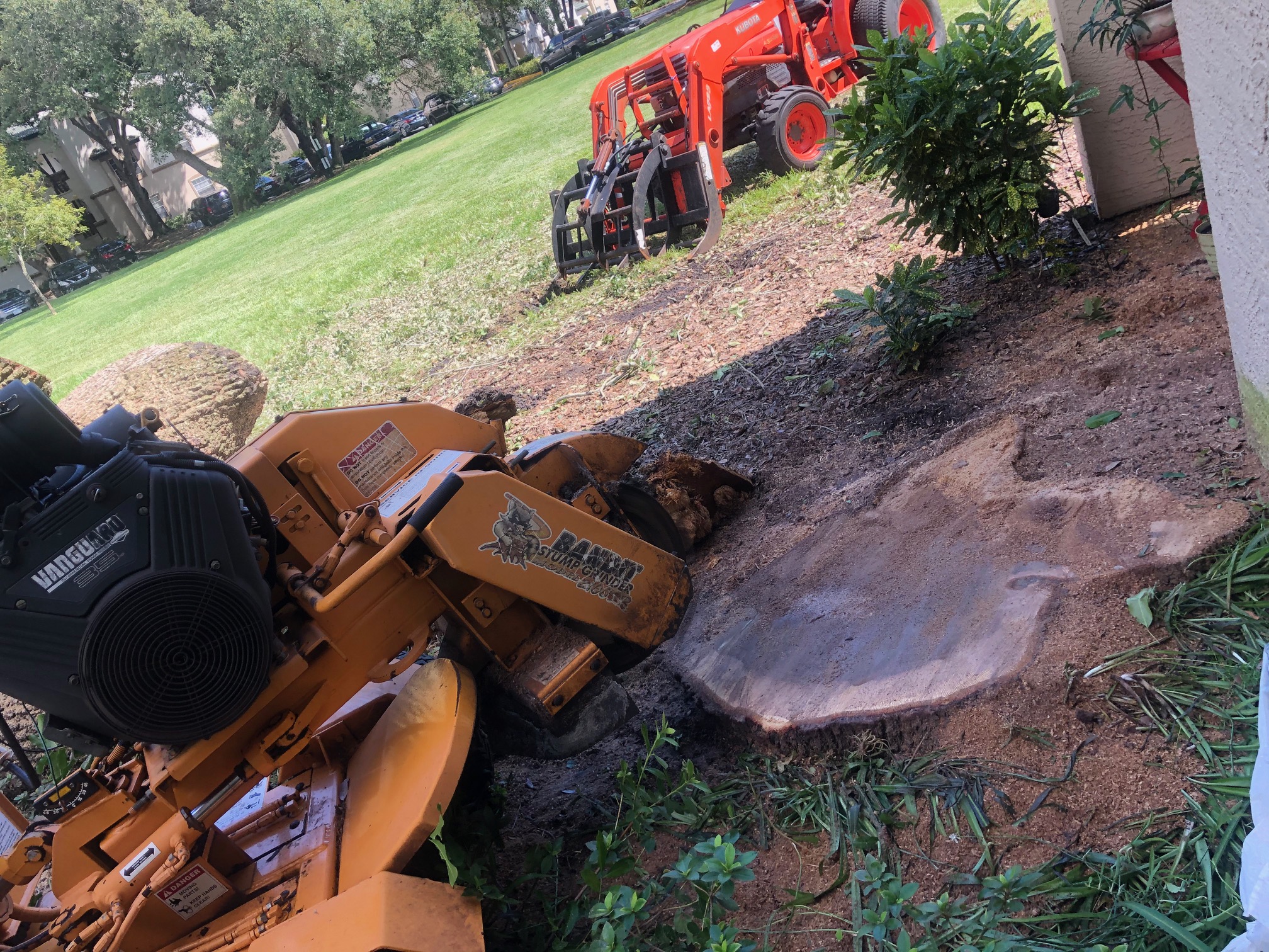 Stump Removal in Lakeland FL Precision Tree and Outdoor Services