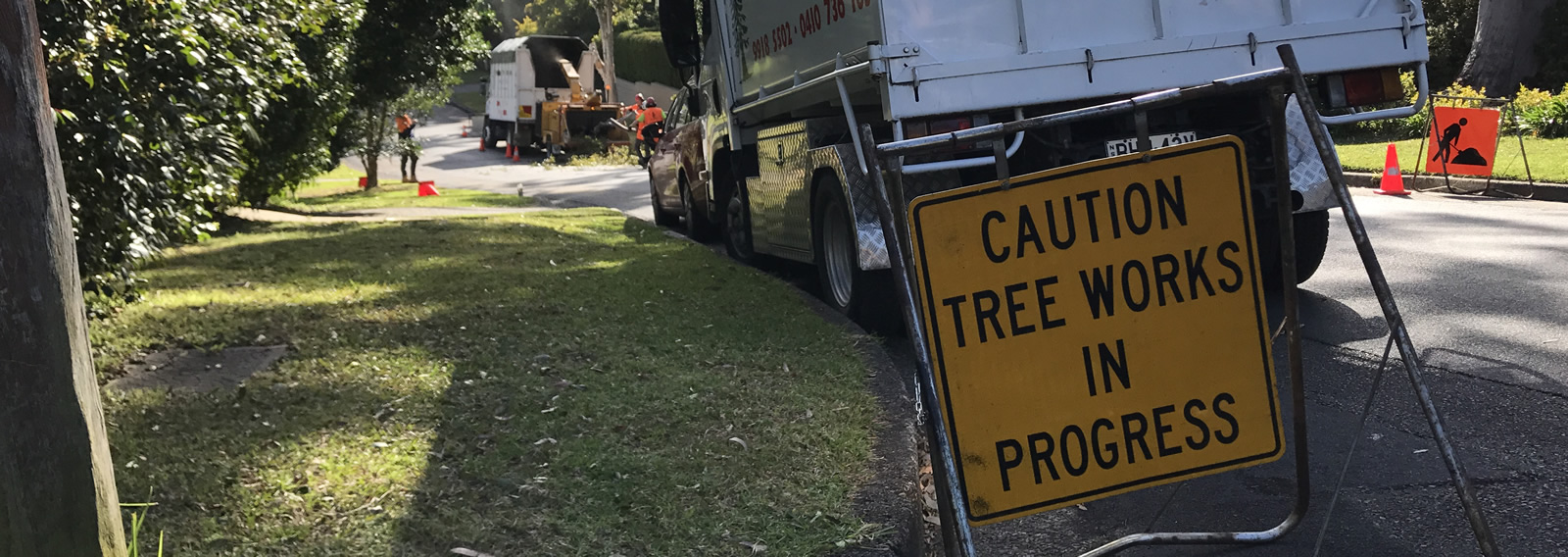 Precision Tree Services Northern Beaches Tree Loppers & Arborists.