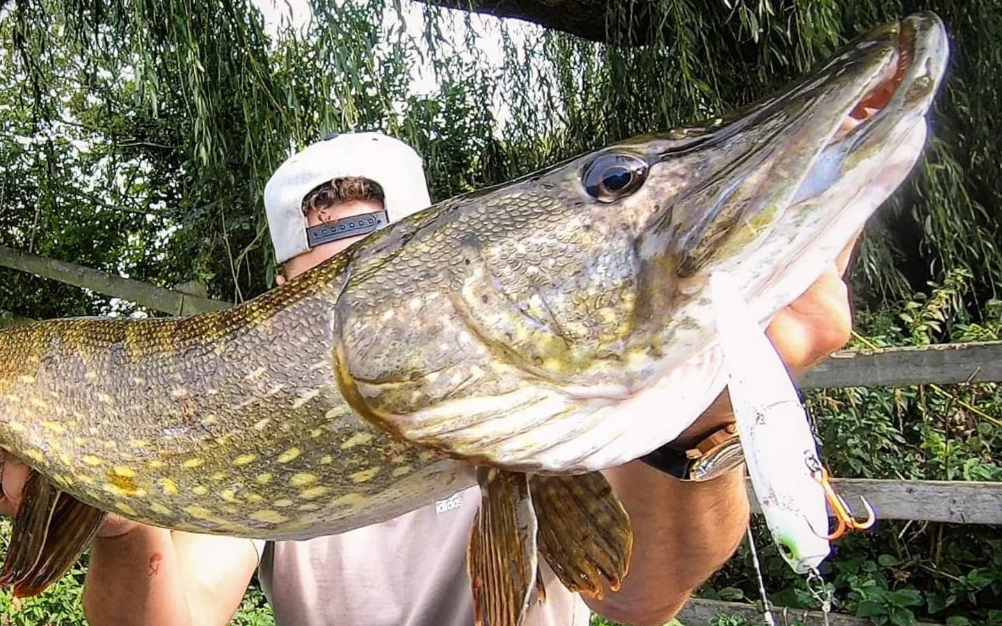 Top 5 Mistakes to Avoid When Pike Fishing in Spring & Early Summer
