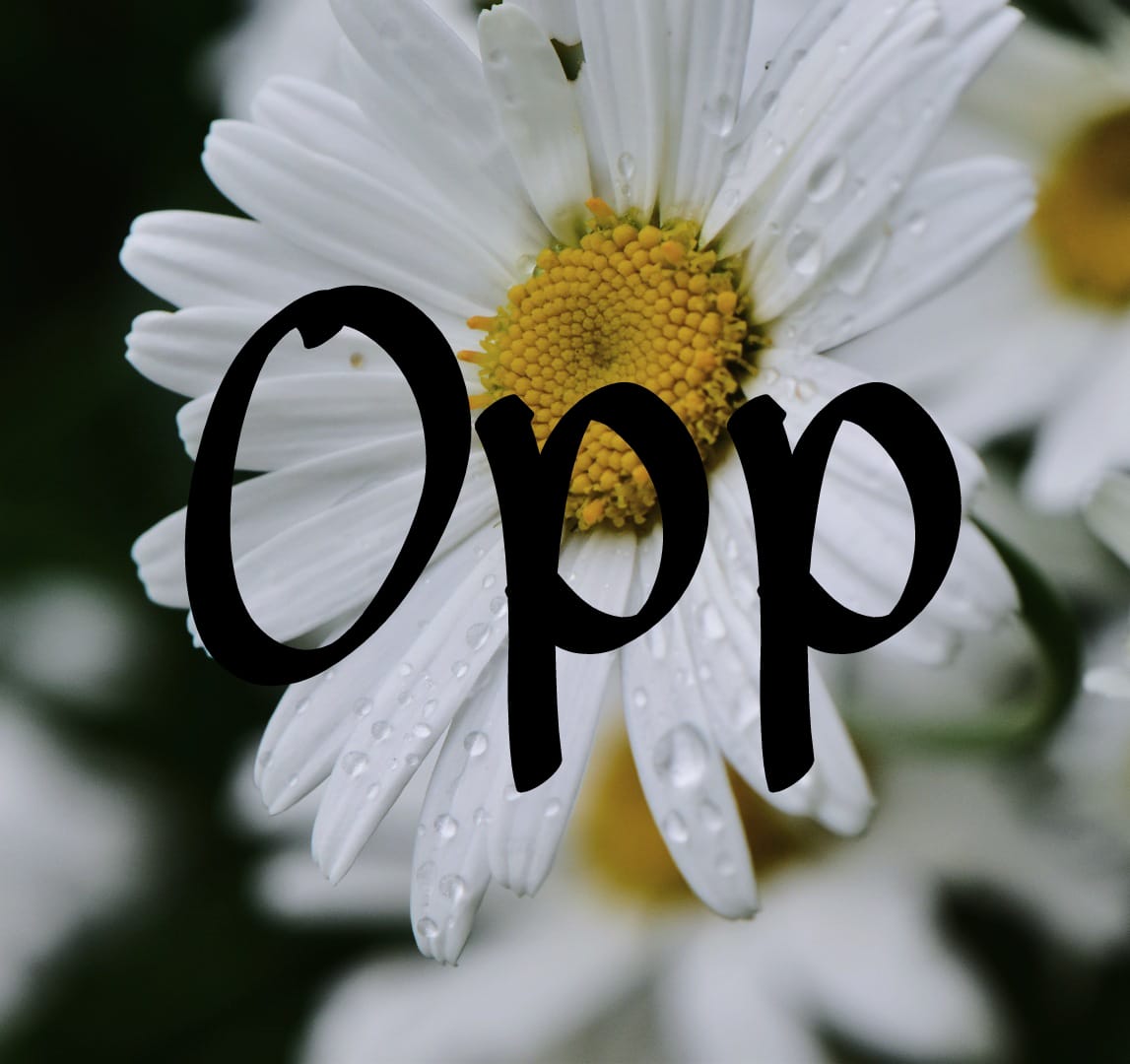Opp Meaning and Usage.