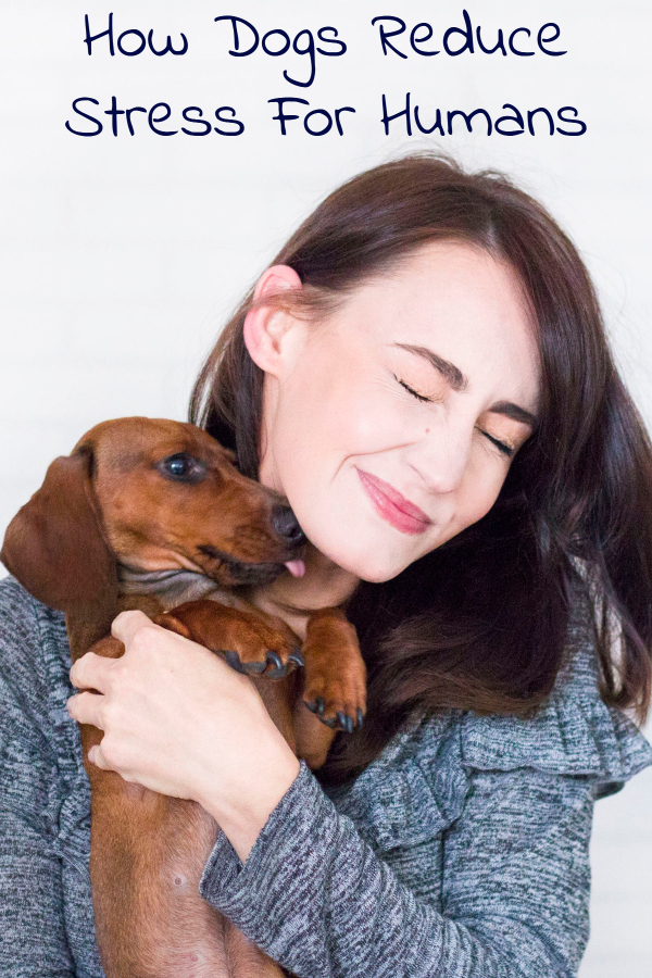 How Dogs Reduce Stress For Humans Preemie Twins Baby Blog