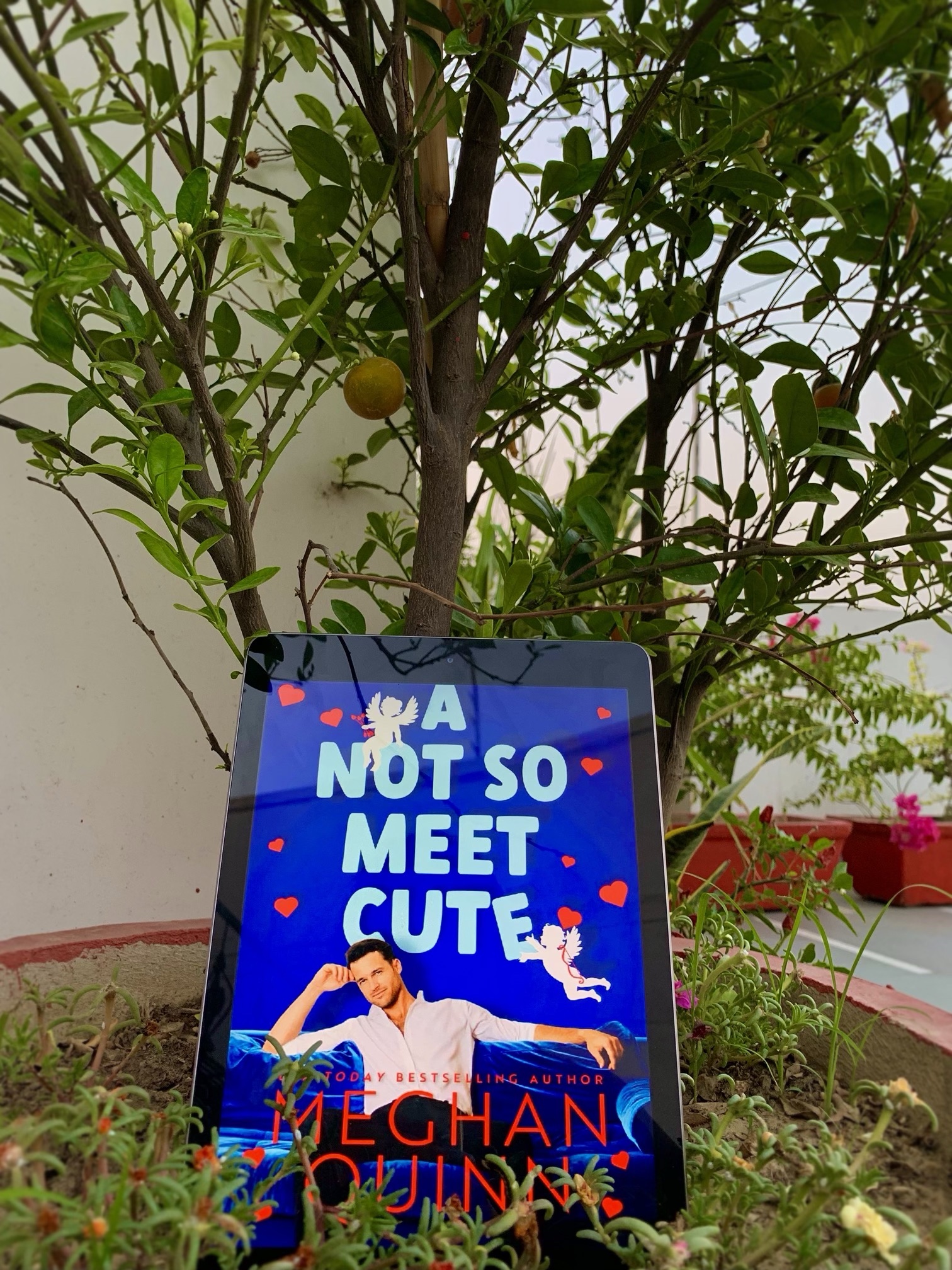 A NOT SO MEET CUTE by Meghan Quinn Book Reviews by Preesha Agarwal
