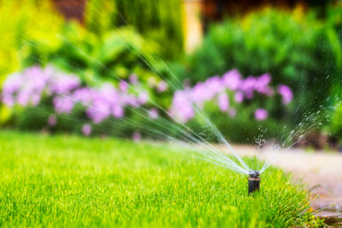 How Often To Water A Lawn In Summer / What Should You Do If Your Lawn