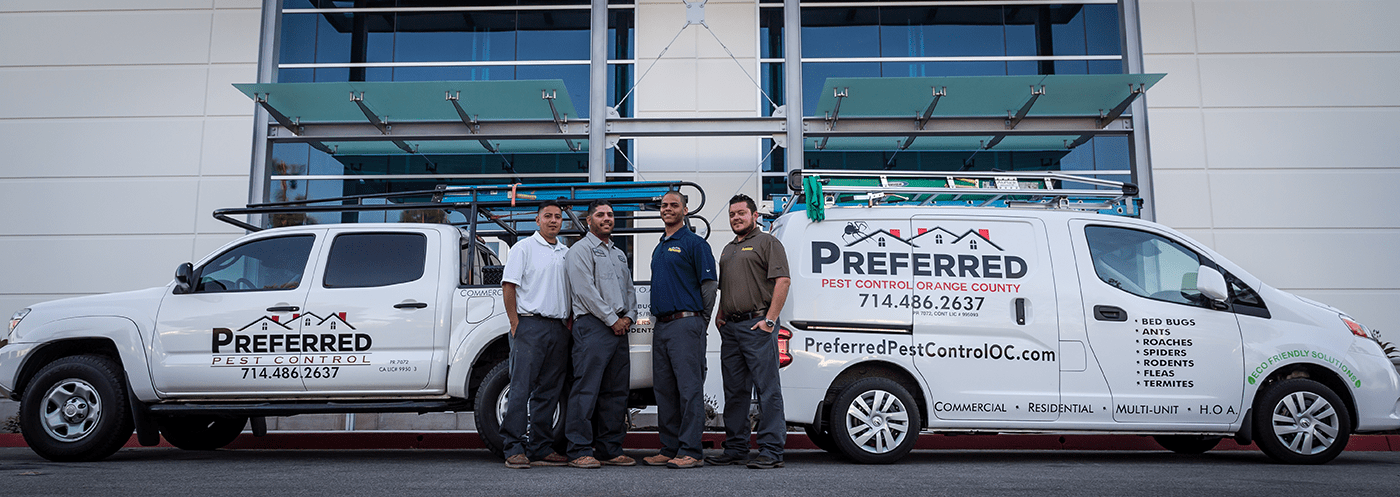 Pest Control Service Orange County NY – Best pest.