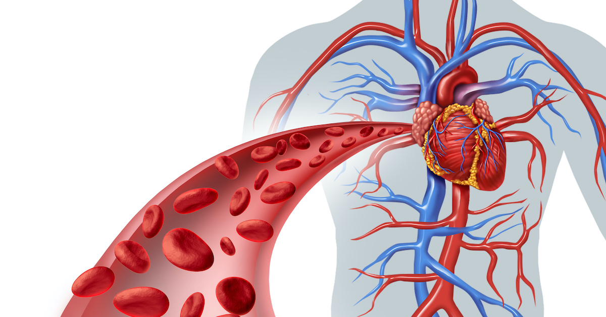 11 Tips to Improve Circulation Preferred Vascular Group