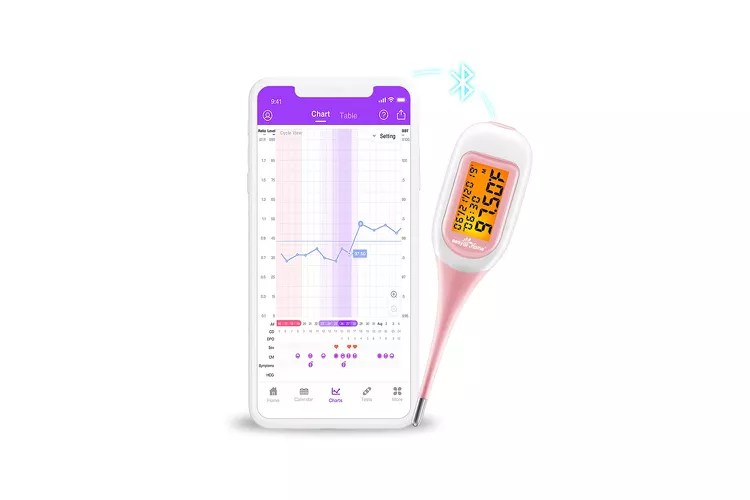 EasyHome Smart Basal Thermometer Pregnancy Boss
