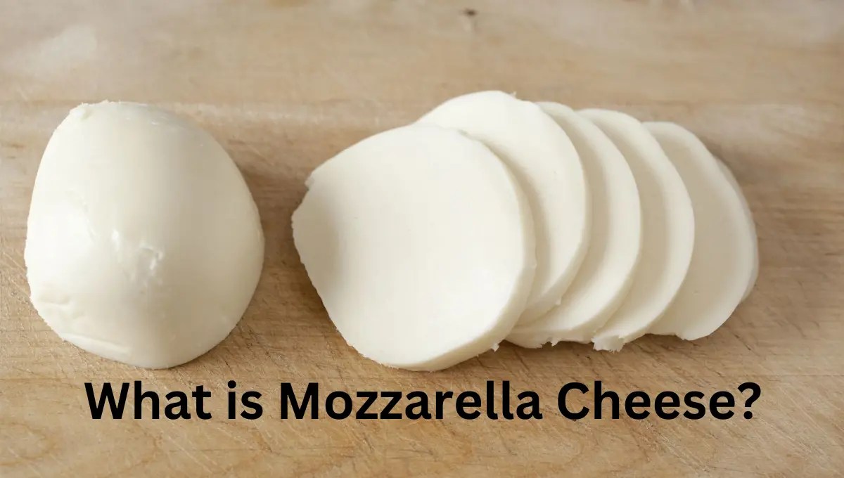 Can You Safely Eat Mozzarella While Pregnant? Pregnancy Boss