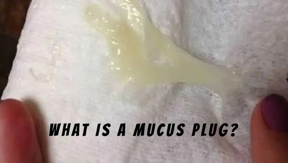 Mucus Plug In Toilet After Peeing Pregnancy Boss
