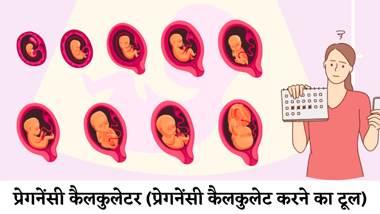 Pregnancy Calculator Pregnancy Hindi