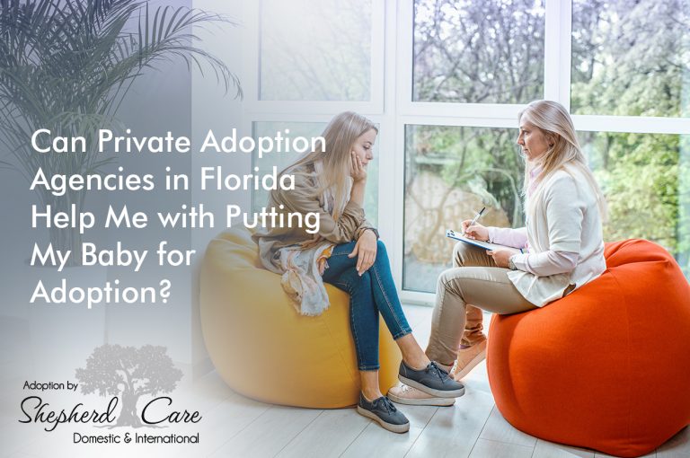 Private adoption agencies in Florida Adoptions by Shepherd Care