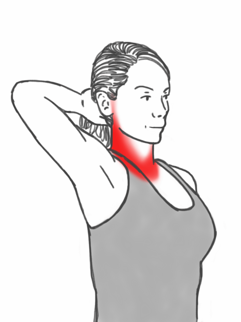 Neck Stability Neck Retraction Exercise against a Hand Prehab Exercises