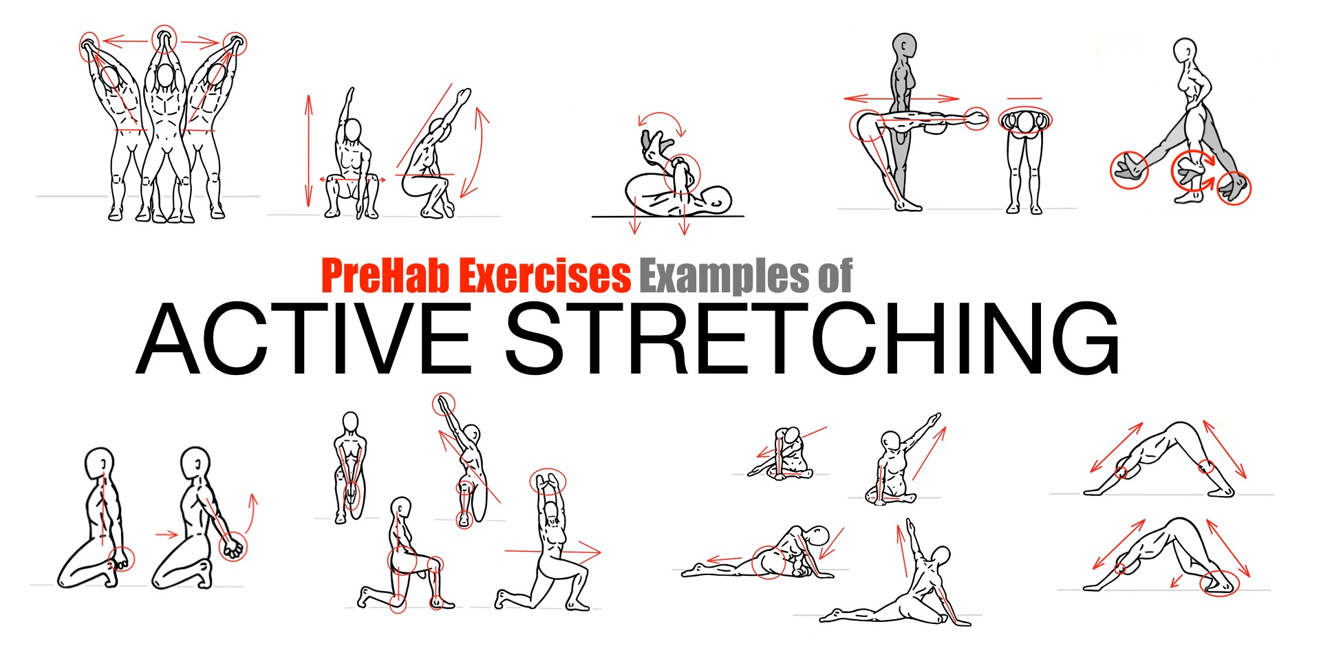 The Art of Stretching PreHab Exercises The Art of Stretching PreHab Exercises