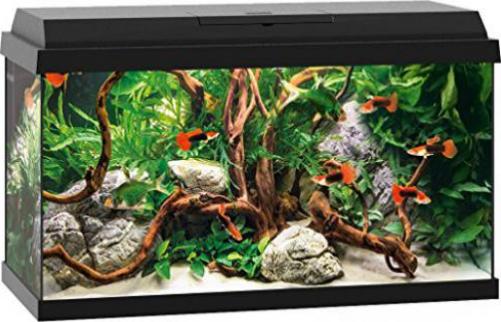 Juwel Primo 60 LED Aquarium schwarz Preisvergleich