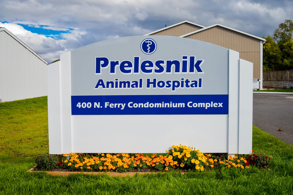 Grand Haven, MI Veterinarians Prelesnik Animal Hospital