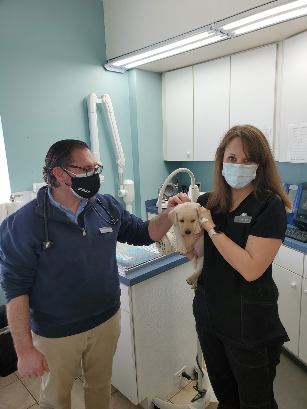 Photo Gallery Prelesnik Animal Hospital