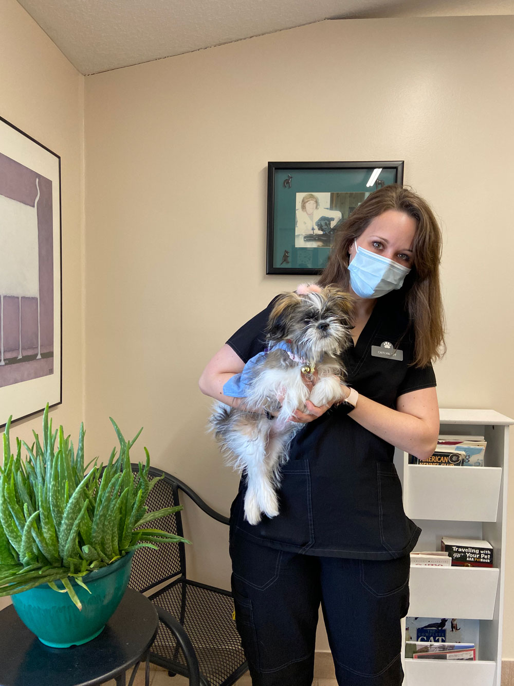 Photo Gallery Prelesnik Animal Hospital