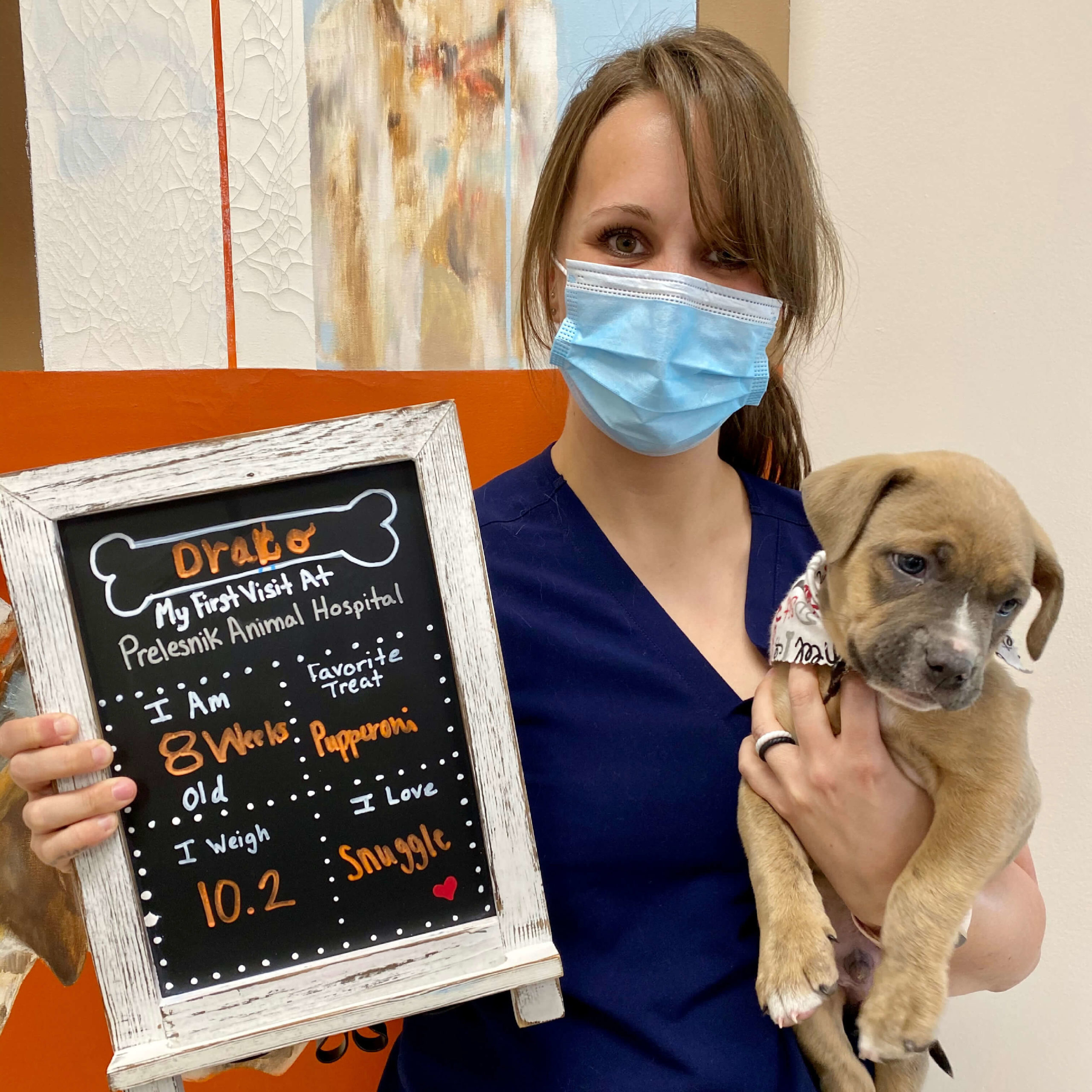 Photo Gallery Prelesnik Animal Hospital