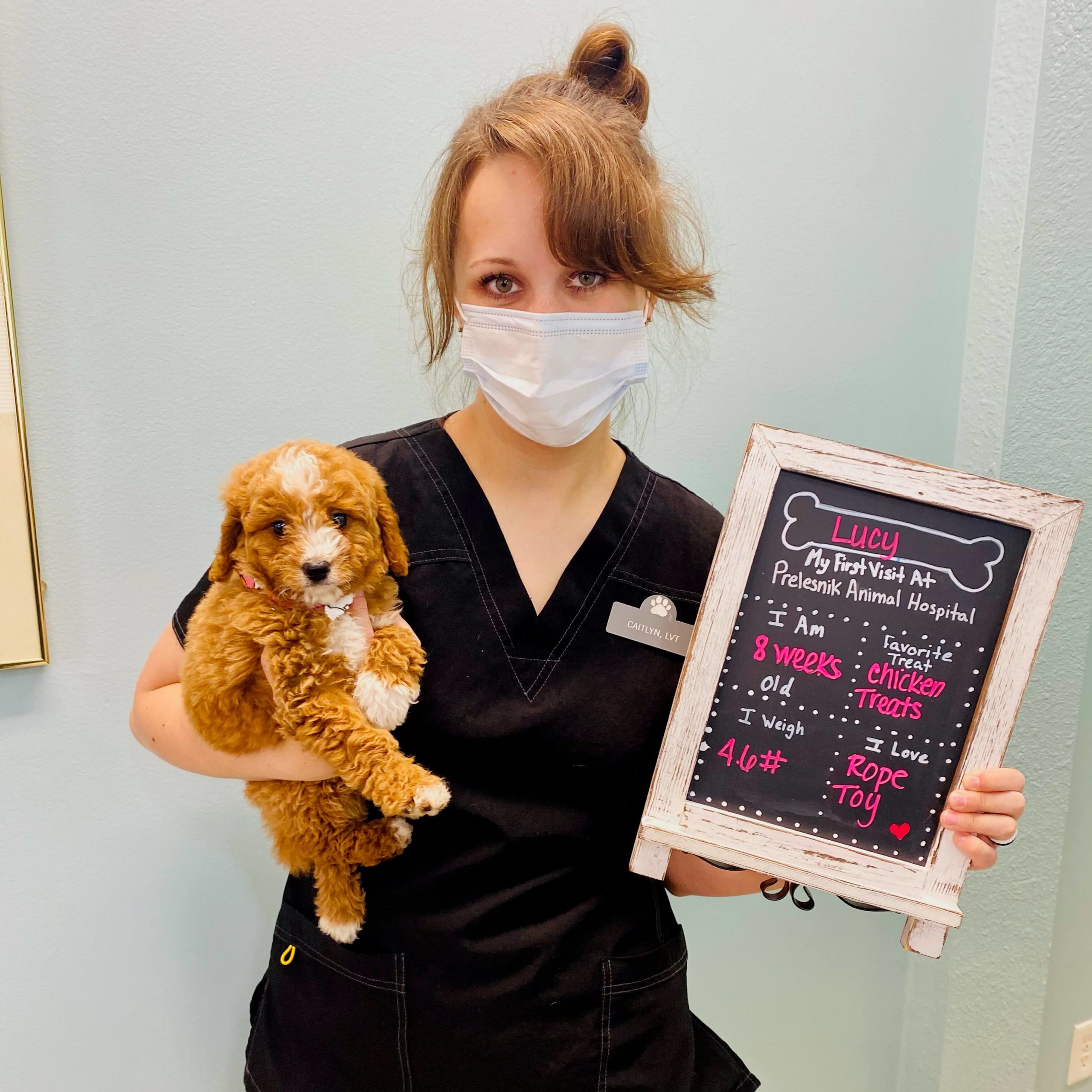 Photo Gallery Prelesnik Animal Hospital