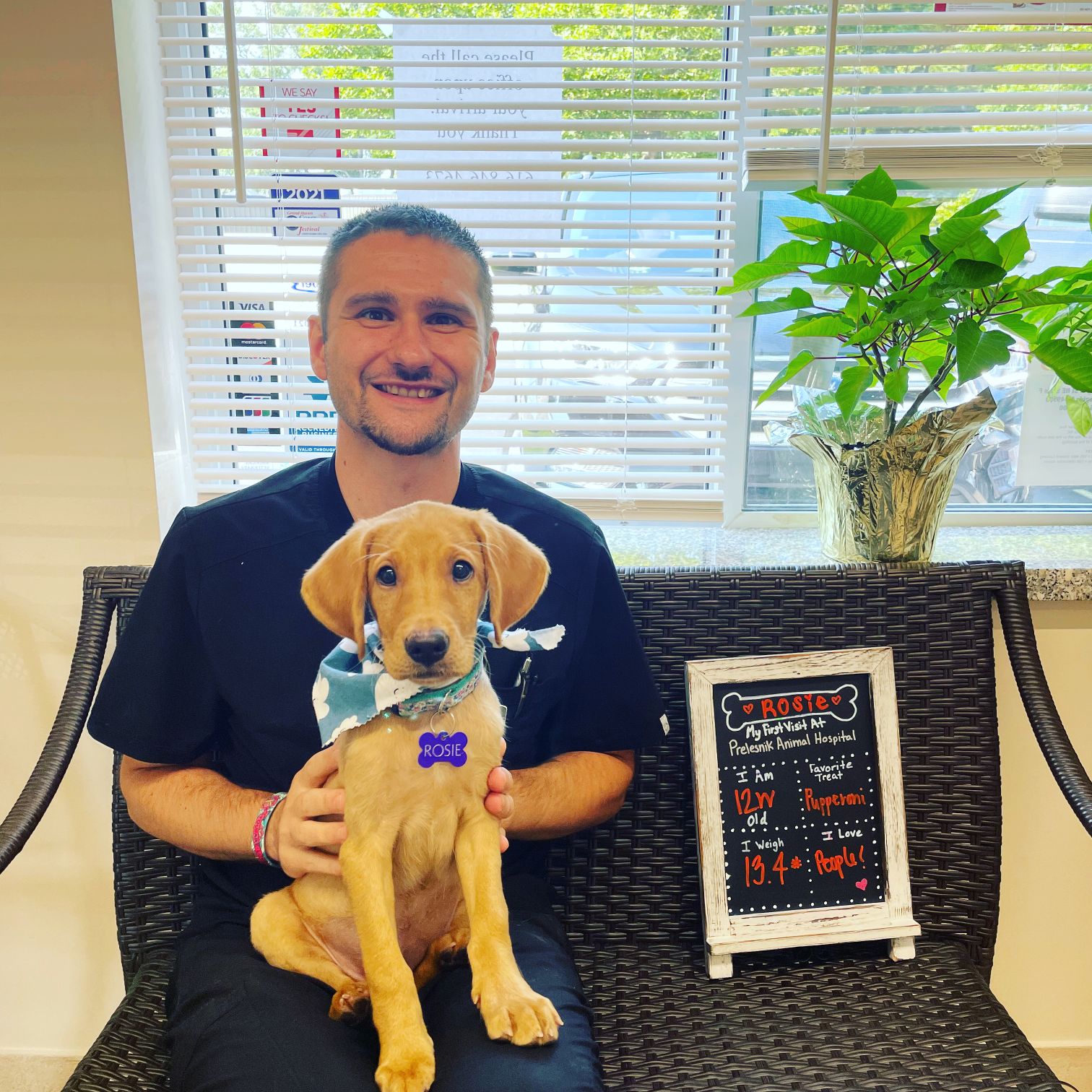 Photo Gallery Prelesnik Animal Hospital