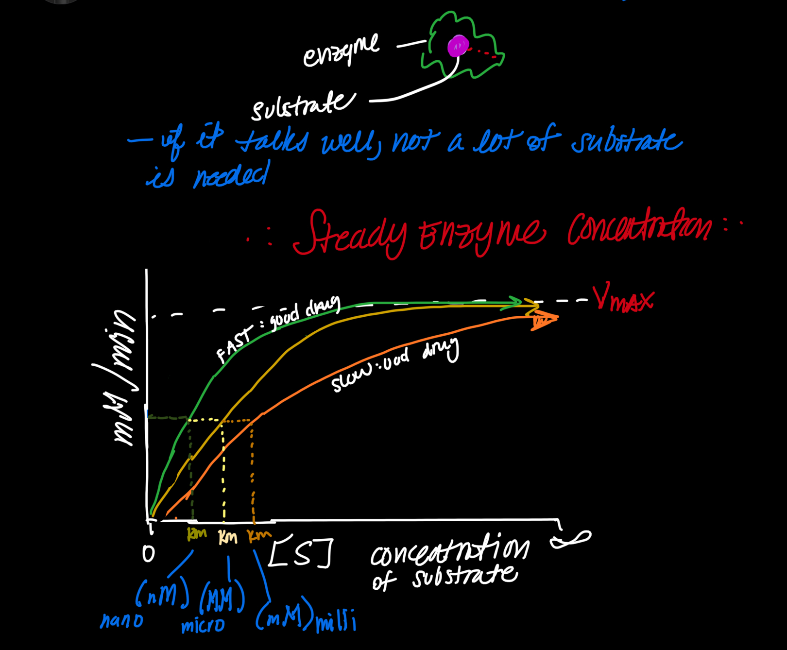 BioChem Enzyme PreMed Notes