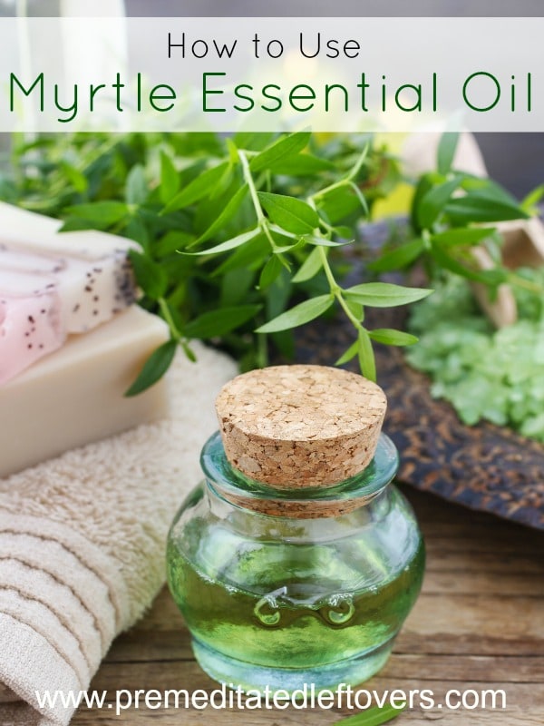 How to Use Myrtle Essential Oil