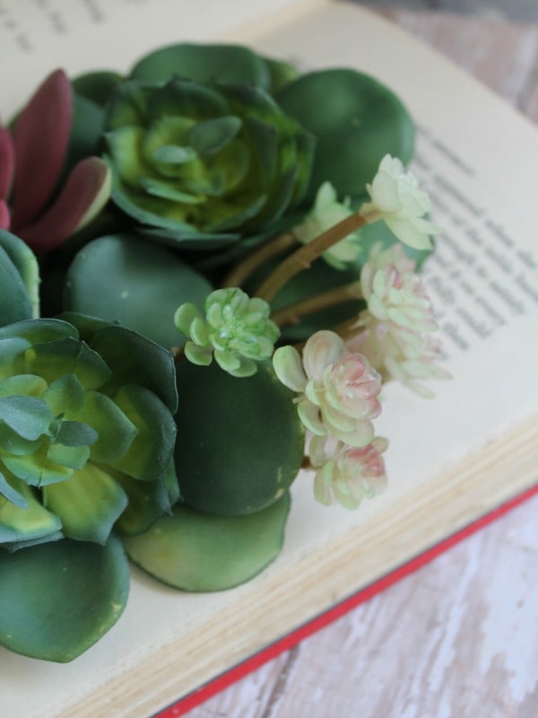 DIY Succulents Book Planter Upcycled Book Idea