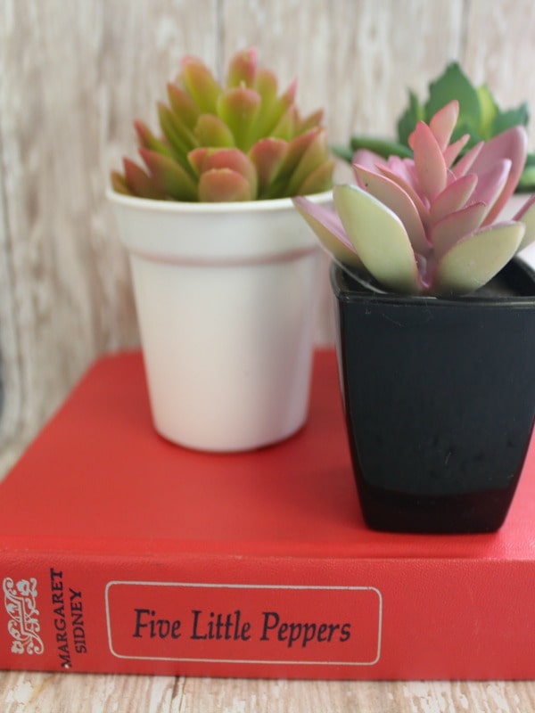 DIY Succulents Book Planter Upcycled Book Idea