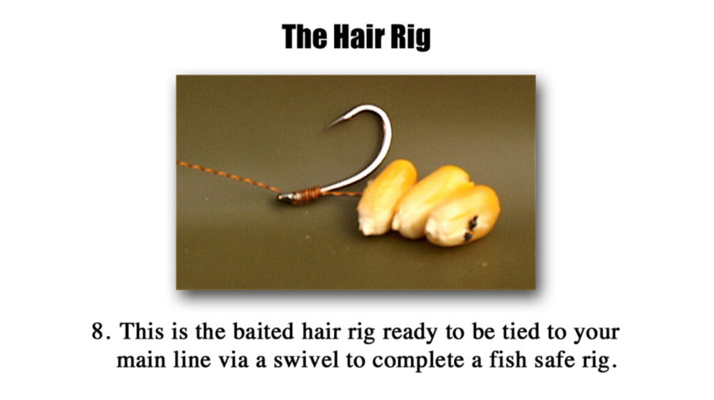 Hair Rig For Carp Fishing The Complete Guide Premier Angler