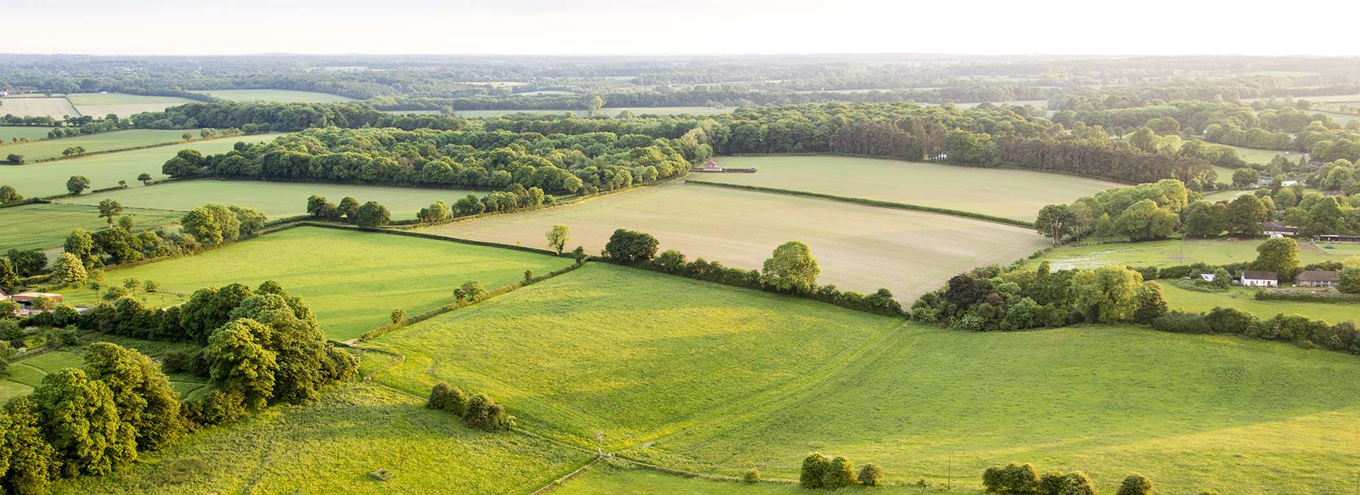 Auction Premier Farm Realty Group & Auction