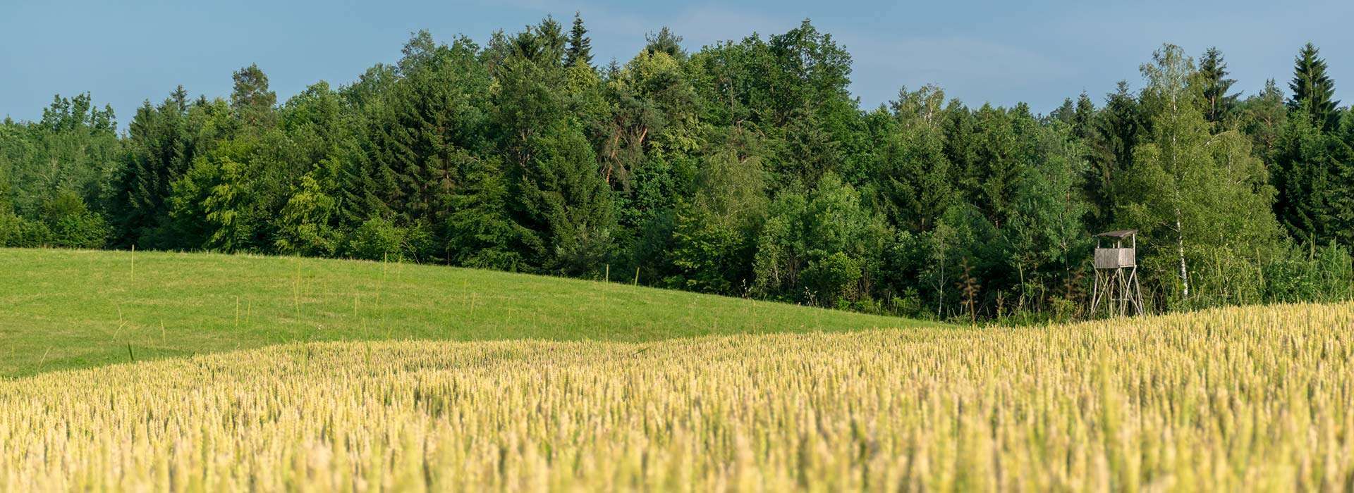 Property For Sale Premier Farm Realty Group & Auction