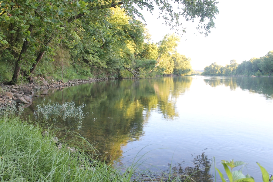 Properties for sale Premier Farm Realty Group & Auctio