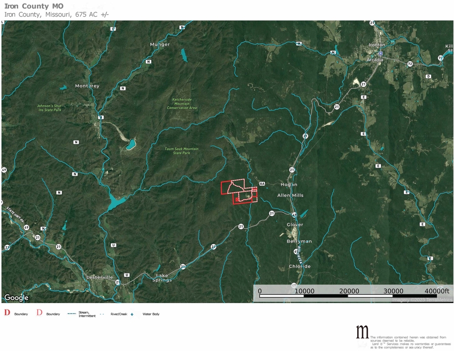 IRON COUNTY MO 675 AUCTION SOLD