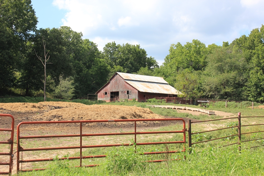 to Premier Farm Realty Group & Auction