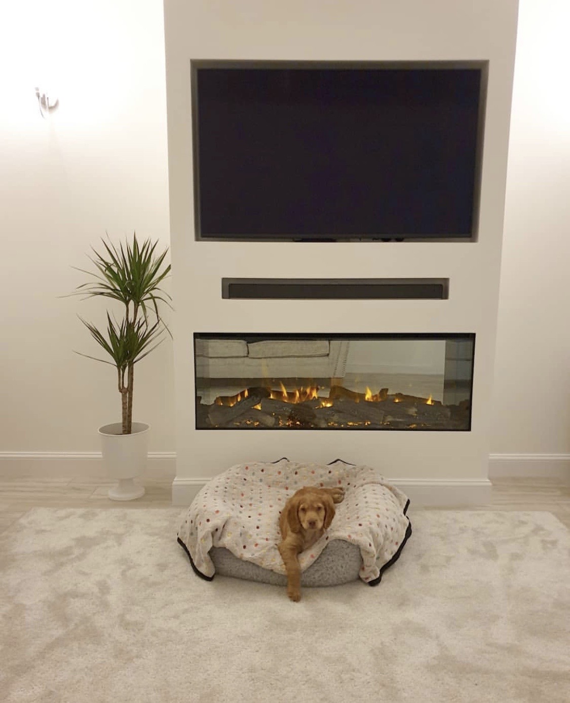 Media Walls Premier Fireplaces, Cardiff's Leading Fireplace supplier