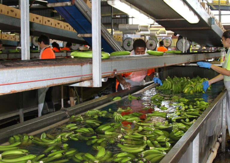 Farming Premier Fresh Australia