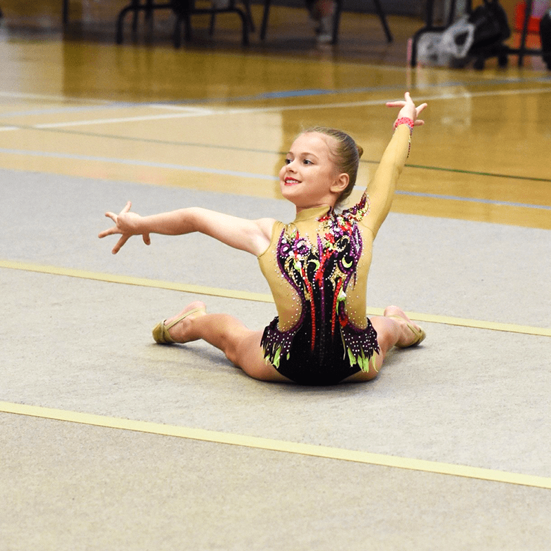 Rhythmic Gymnastics Premier Gymnastics