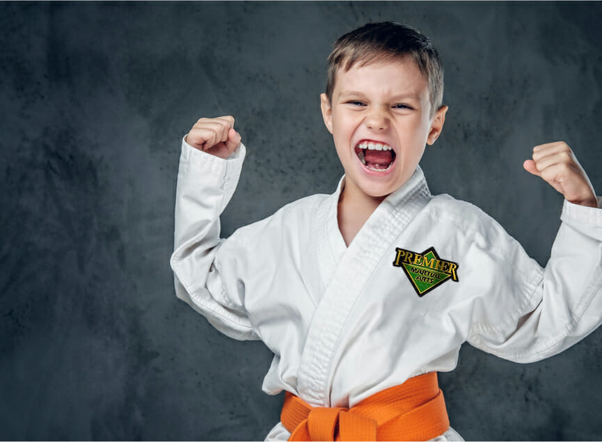 Karate for Kids Premier Martial Arts