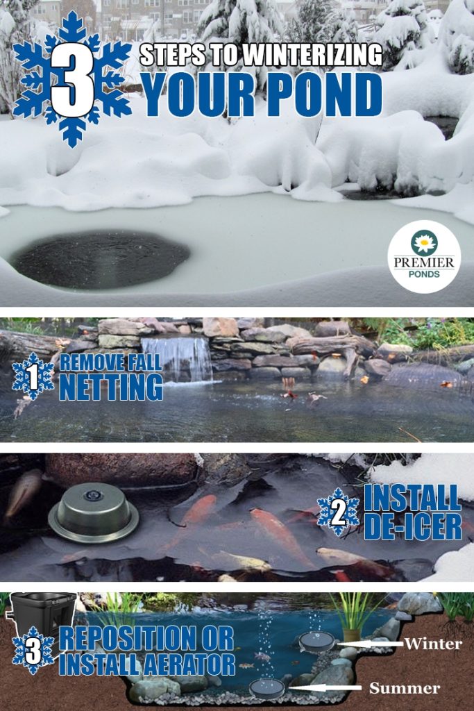 Can Koi Fish Survive Winter In Maryland? 🐟 ️