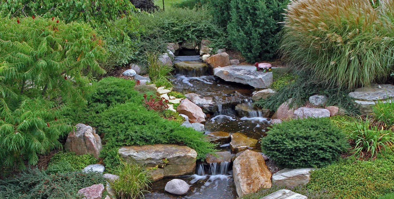 Pond Renovation, Maintenance and Construction Brochures